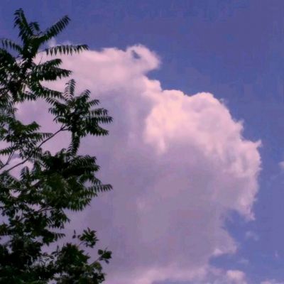 欧宝真人登录-登录入口截图